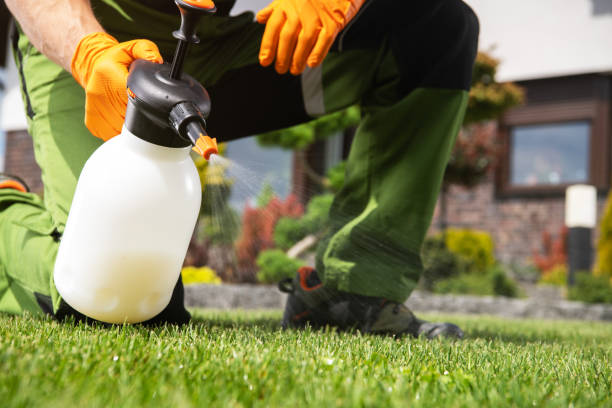 Best Mosquito Control Services  in Fayette, MS
