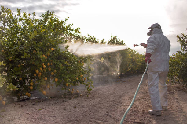 Best Pest Control for Businesses  in Fayette, MS