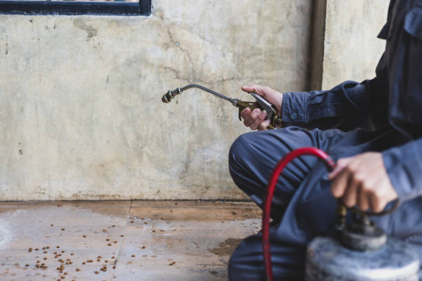 Best Emergency Pest Control  in Fayette, MS
